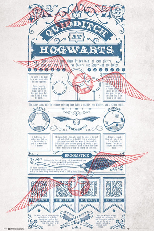 Gbeye Harry Potter Quidditch At Hogwarts Poster 61X91 5cm | Yourdecoration.co.uk