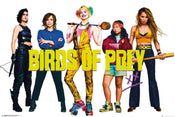 GBeye Birds of Prey Group Poster 91,5x61cm | Yourdecoration.co.uk