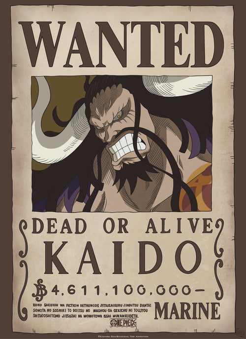 gbeye gbydco265 one piece wanted kaido poster 38x52cm | Yourdecoration.co.uk