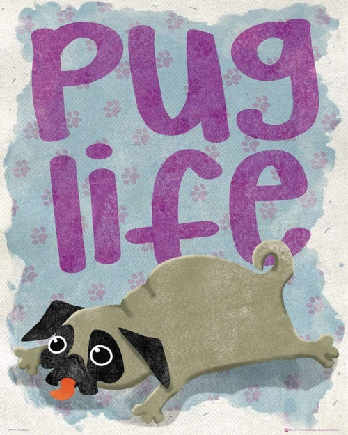 GBeye Pug Life Poster 40x50cm | Yourdecoration.co.uk