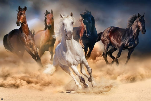 Grupo Erik GPE5031 Five Horses Poster 91,5X61cm | Yourdecoration.co.uk