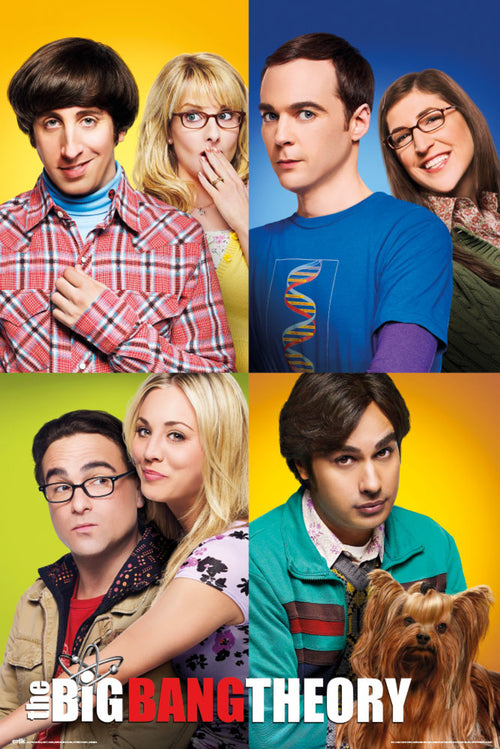 Grupo Erik GPE5328 The Big Bang Theory Mosaico Poster 61X91,5cm | Yourdecoration.co.uk