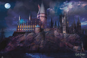 Grupo Erik GPE5367 Harry Potter Hogwarts Poster 91,5X61cm | Yourdecoration.co.uk