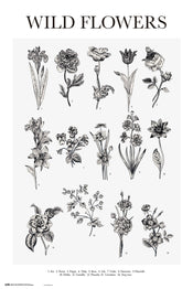 Grupo Erik GPE5546 Wild Flowers Poster 61X91,5cm | Yourdecoration.co.uk