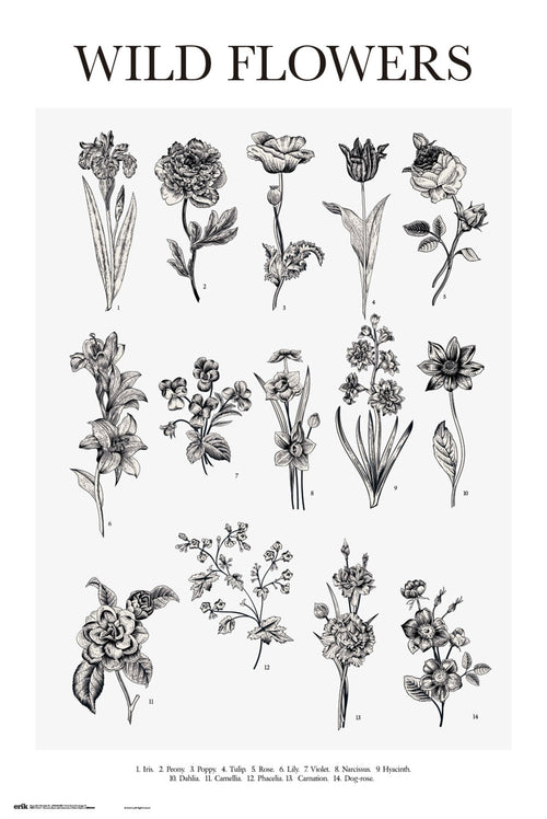 Grupo Erik GPE5546 Wild Flowers Poster 61X91,5cm | Yourdecoration.co.uk