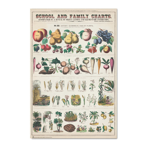 Grupo Erik Gpe5603 Poster Fruits And Vegetables | Yourdecoration.co.uk