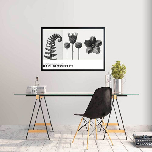 Grupo Erik Gpe5626 Poster Urformen Der Kunst By K Blossfeldt Sfeer | Yourdecoration.co.uk