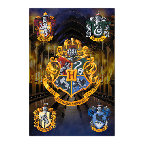 Grupo Erik Gpe5650 Harry Potter Escodus Hogwarts Poster 61X91 5cm | Yourdecoration.co.uk