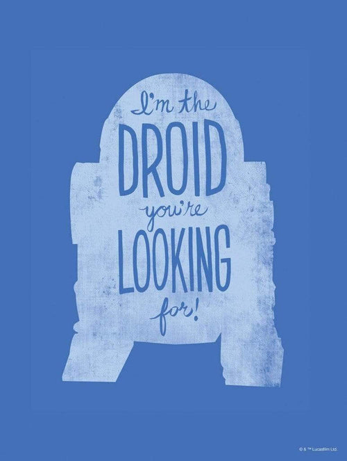 Komar Star Wars Silhouette Quotes R2D2 Art Print 30x40cm | Yourdecoration.co.uk