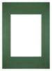 Passe-Partout Photo Frame Size 20x28 cm - Photo Size 13x18 cm - Green Forest