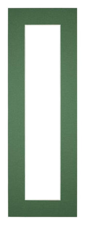 Passe-Partout Photo Frame Size 20x60 cm - Photo Size 10x50 cm - Green Forest