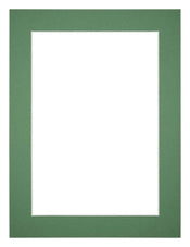 Passe-Partout Photo Frame Size 45x60 cm - Photo Size 40x50 cm - Green Forest