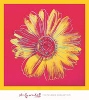 Andy Warhol Daisy 1982 Art Print 90x90cm | Yourdecoration.co.uk