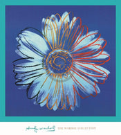 Andy Warhol Daisy 1982 Art Print 90x90cm | Yourdecoration.co.uk