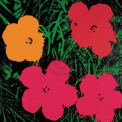 Andy Warhol Flowers C. 1964 Art Print 60x60cm | Yourdecoration.co.uk