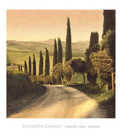 Elisabeth Carmel Country Lane, Tuscany Art Print 45x50cm | Yourdecoration.co.uk