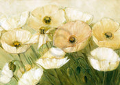 Elisabeth Krobs Tender Poppies Art Print 29.7x21cm | Yourdecoration.co.uk