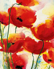 Heidi Reil Roter Mohn Art Print 70x90cm | Yourdecoration.co.uk