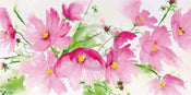 Heidi Reil Rosa Kosmeen Art Print 100x50cm | Yourdecoration.co.uk