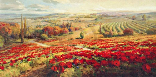 Roberto Lombardi Red Poppy Panorama Art Print 120x60cm | Yourdecoration.co.uk