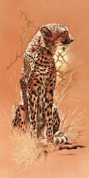 Renato Casaro Cheetah Art Print 50x100cm | Yourdecoration.co.uk