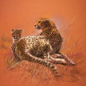 Renato Casaro Cheetah Mother Art Print 50x50cm | Yourdecoration.co.uk