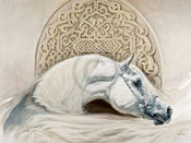 Renato Casaro Arabian Pride Art Print 80x60cm | Yourdecoration.co.uk