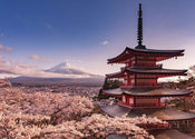 Pyramid Mount Fuji Blossom Poster 140x100cm | Yourdecoration.co.uk