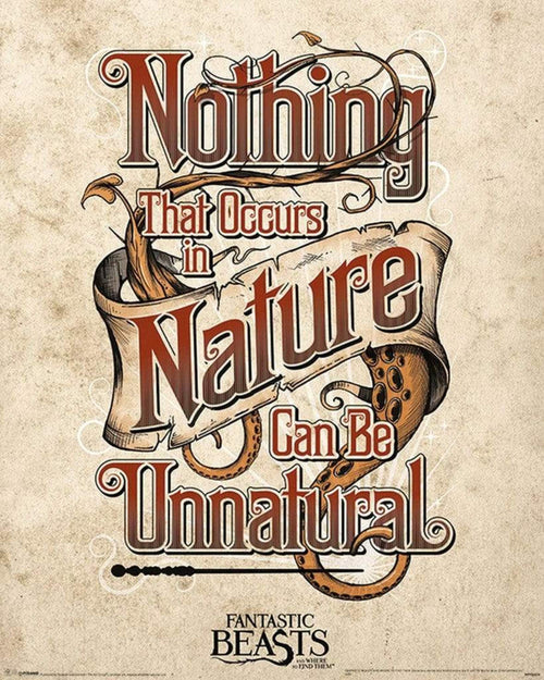 Pyramid Fantastic Beasts Unnatural Poster 40x50cm | Yourdecoration.co.uk