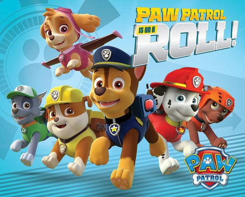 Pyramid Paw Patrol On a Roll Poster 50x40cm | Yourdecoration.co.uk