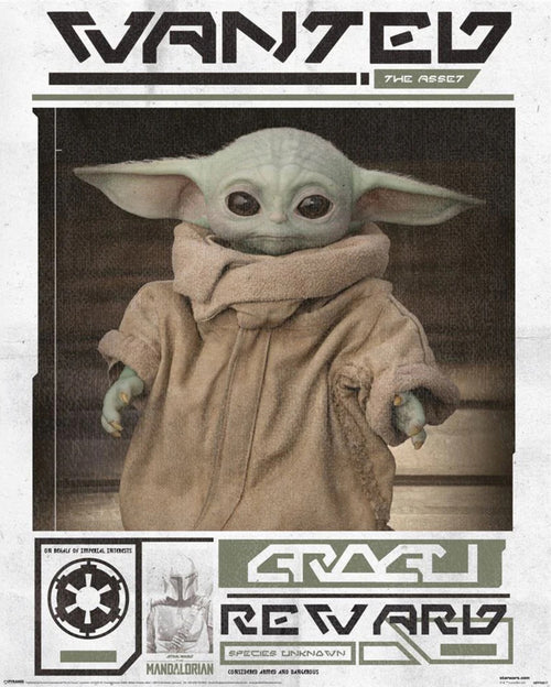 pyramid mpp50817 star wars the mandalorian grogu wanted poster 40x50cm | Yourdecoration.co.uk