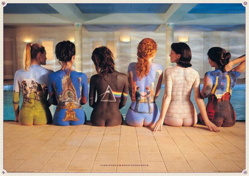 Pyramid Pink Floyd Back Catalogue Poster 91,5x61cm | Yourdecoration.co.uk