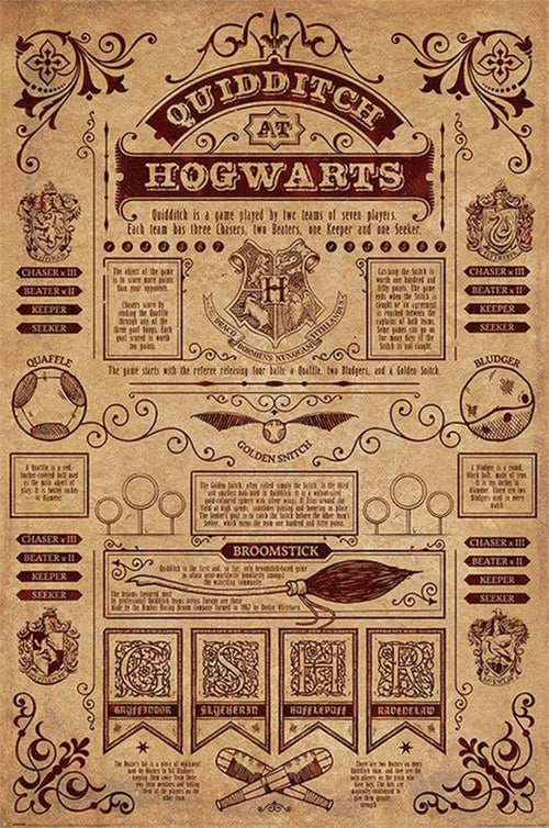 Pyramid Harry Potter Quidditch At Hogwarts Poster 61x91,5cm | Yourdecoration.co.uk