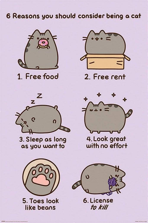 Pyramid Pusheen Reasons to be a Cat Poster 61x91,5cm | Yourdecoration.co.uk