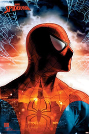 Pyramid Spider Man Protector of the City Poster 61x91,5cm | Yourdecoration.co.uk