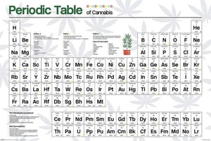 Pyramid Periodic Table Cannabis Poster 61x91,5cm | Yourdecoration.co.uk