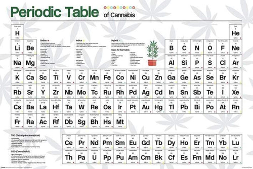 Pyramid Periodic Table Cannabis Poster 61x91,5cm | Yourdecoration.co.uk