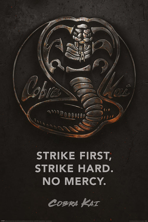 Pyramid PP34736 Cobra Kai Metal Poster | Yourdecoration.co.uk