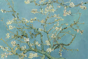 Pyramid Van Gogh Almond Blossom Poster 91,5x61cm | Yourdecoration.co.uk