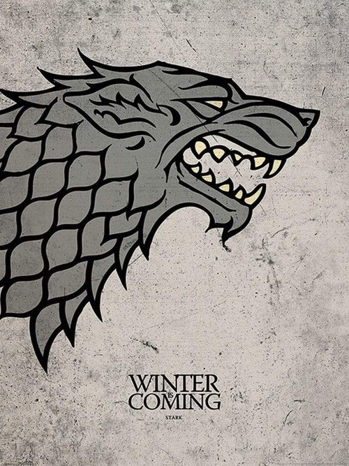 Pyramid Game of Thrones Stark Art Print 60x80cm | Yourdecoration.co.uk