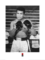 Pyramid Muhammad Ali Pose Art Print 60x80cm | Yourdecoration.co.uk