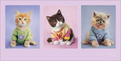 Pyramid Rachael Hale Kitty Couture Art Print 50x100cm | Yourdecoration.co.uk