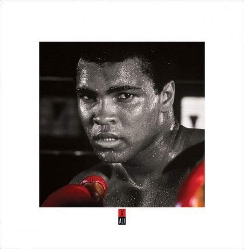 Pyramid Muhammad Ali Boxing Gloves Art Print 40x40cm | Yourdecoration.co.uk