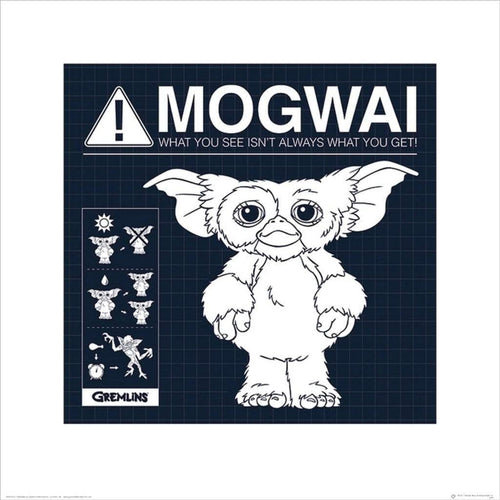 Pyramid Gremlins Mogwai Rules Art Print 40x40cm | Yourdecoration.co.uk