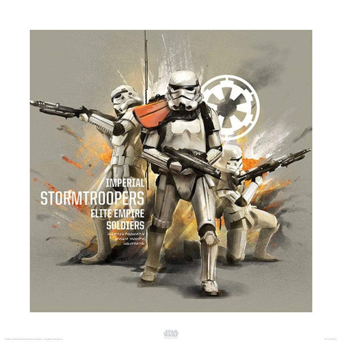 Pyramid Star Wars Rogue One Stormtroopers Profile Art Print 40x40cm | Yourdecoration.co.uk