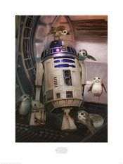 Pyramid Star Wars The Last Jedi R2D2 and Porgs Art Print 60x80cm | Yourdecoration.co.uk